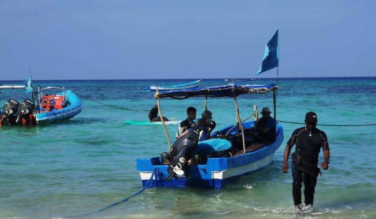 SNORKELING FROM BOAT WITH DIVERS