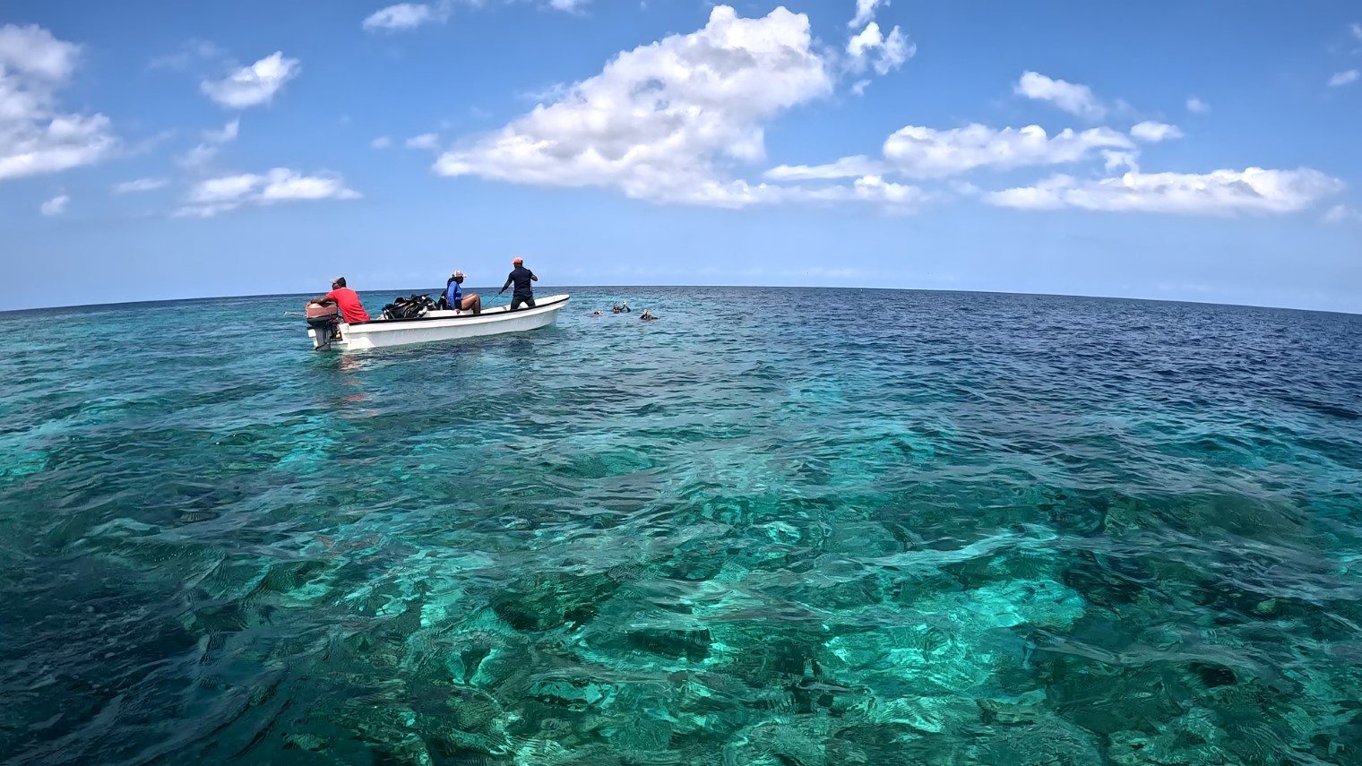 GX010895_exported_4371