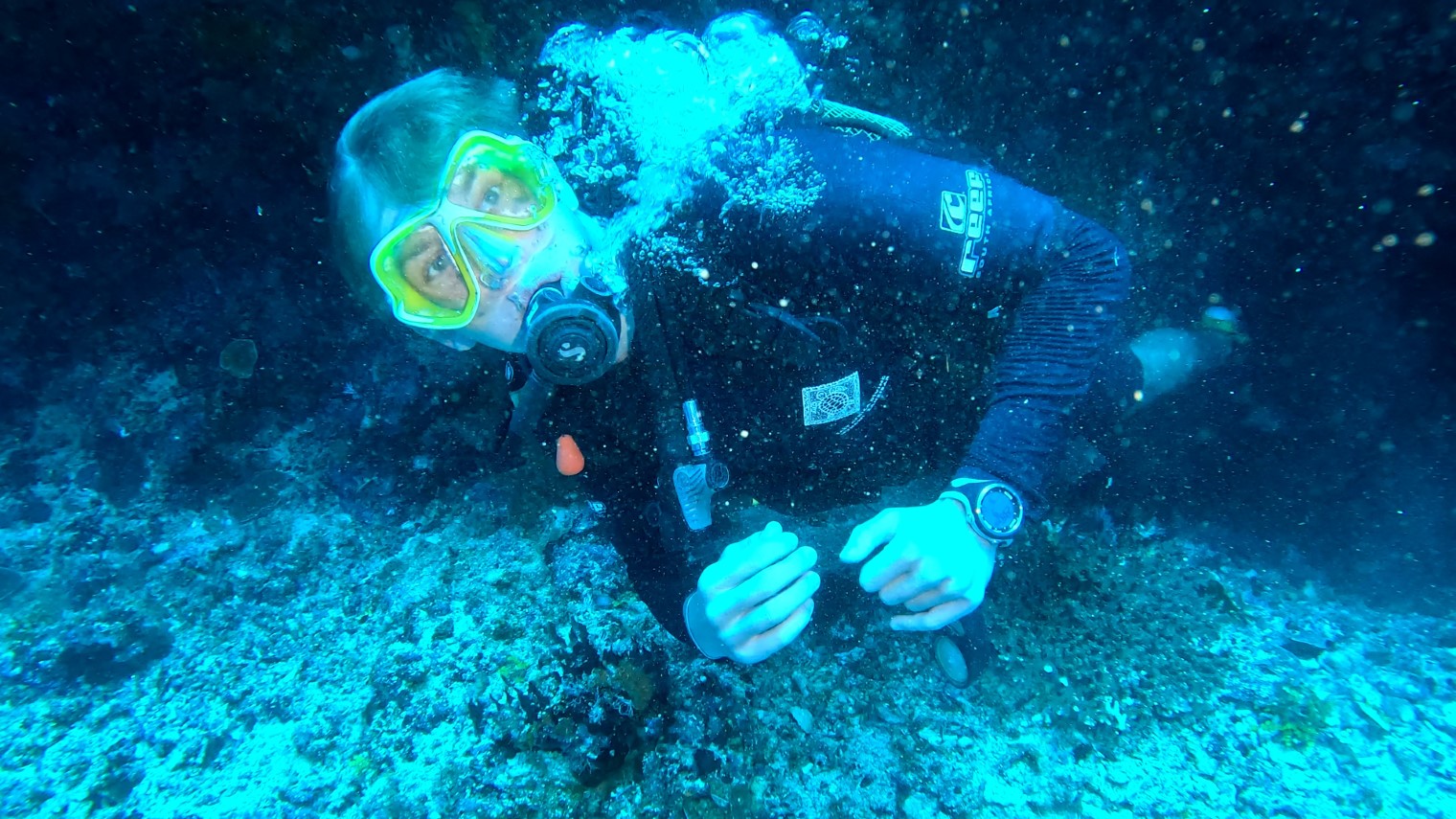 GX010915_exported_20520