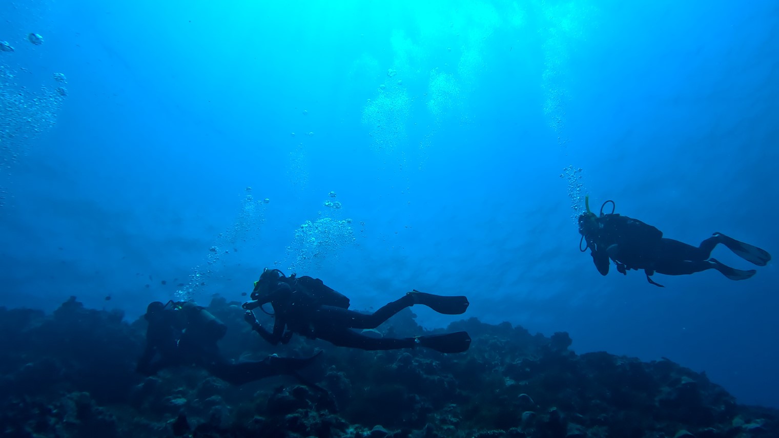 GX010920_exported_34434